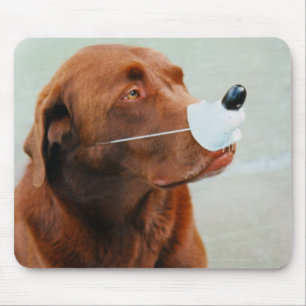 Chocolate Labrador Wearing a Fake Nose Mouse Pad