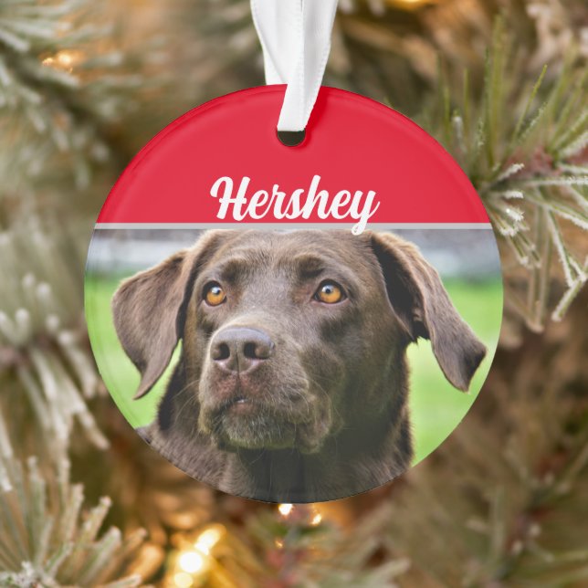Chocolate Labrador with Name and Photo Christmas (Arbre)