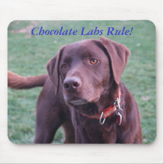 Chocolate Labs Rule! Mouse Pad