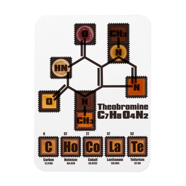 CHoCoLaTe Magnet (Vertical)