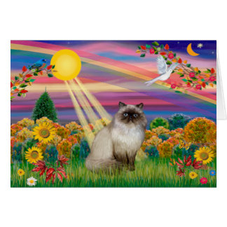 Chocolate Point Himalayan  -  Autumn Sun