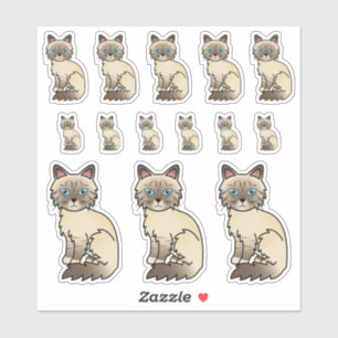 Chocolate Point Tabby Birman/Ragdoll Cartoon Cats