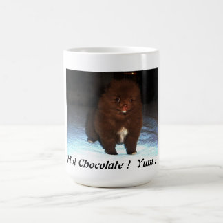 Chocolate pomeranian puppy on mug