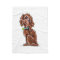Chocolate Poodle Mix Side Sit