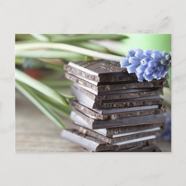 Chocolate Postcard (Front)