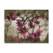 Chocolate Raspberry Blossom Branches Postcard