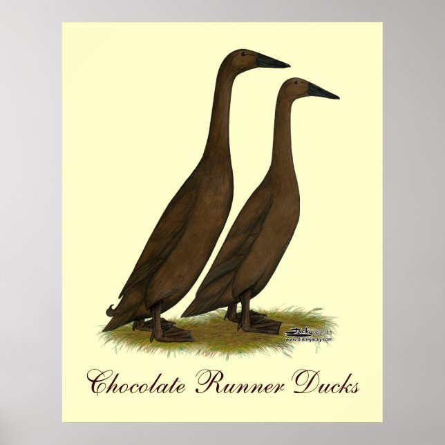 Chocolate Runner Ducks Poster (Front)
