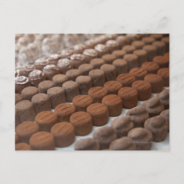 chocolate shop store display of chocolate postcard (Front)