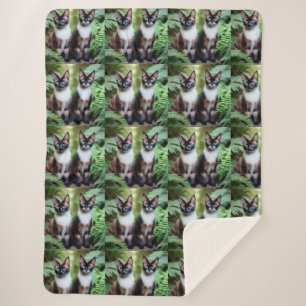 Chocolate Siamese Cat Twins, Lge Sherpa Blanket