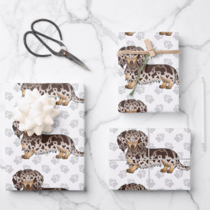 Chocolate & Tan Dapple Long Hair Dachshund & Paws Wrapping Paper Sheet