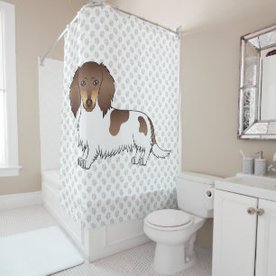 Chocolate & Tan Piebald Long Hair Dachshund & Paws