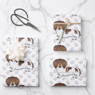 Chocolate & Tan Piebald Long Hair Dachshund & Paws Wrapping Paper Sheet
