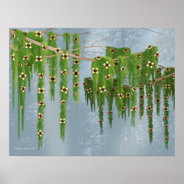 Chocolate Truffle Fantasy Tree Poster (Front)