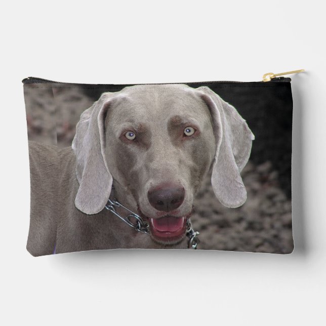 Chocolate Weimaraner Accessory Pouch (Back)