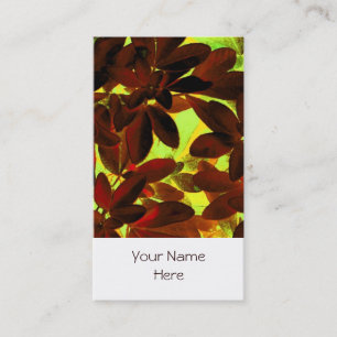 Choisya Autumn 2 business card white portrait