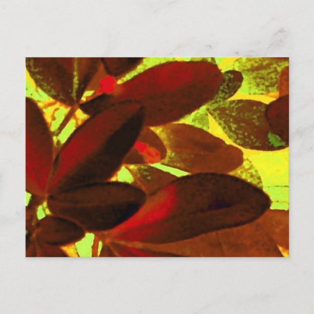 Choisya Autumn 2 postcard (Front)