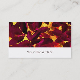 Choisya Autumn business card stripe white