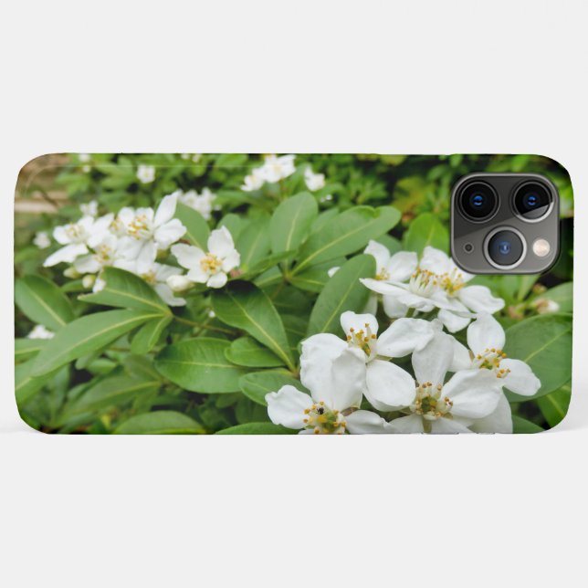 Choisya Ternata Case-Mate iPhone Case (Back (Horizontal))