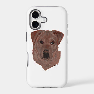 Cholcolate Brown Labrador Retriever