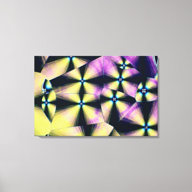 Cholesterol crystals canvas print (Front)