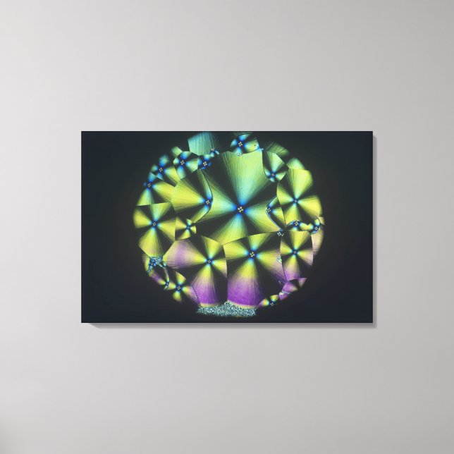 Cholesterol Crystals Canvas Print (Front)