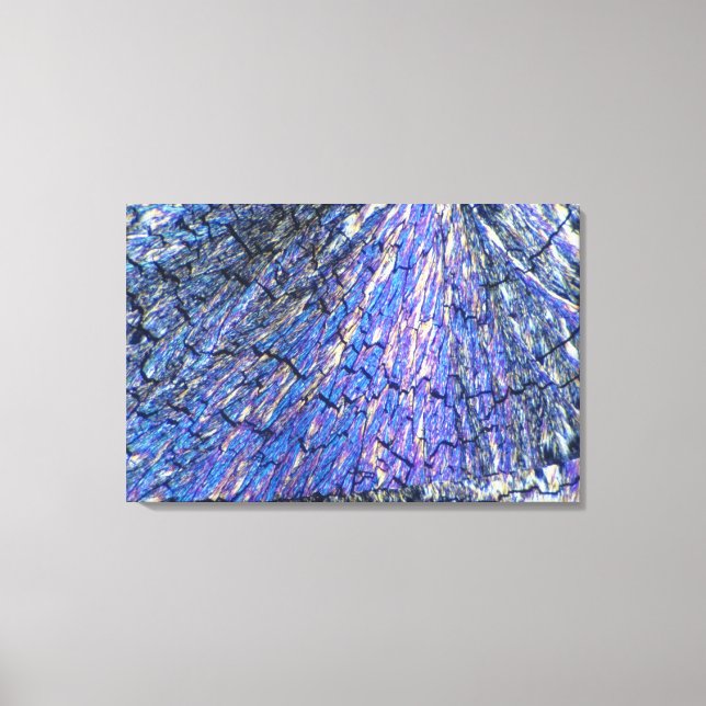 Cholesterol Crystals Viewed in Polarized Light 2 Canvas Print (Front)