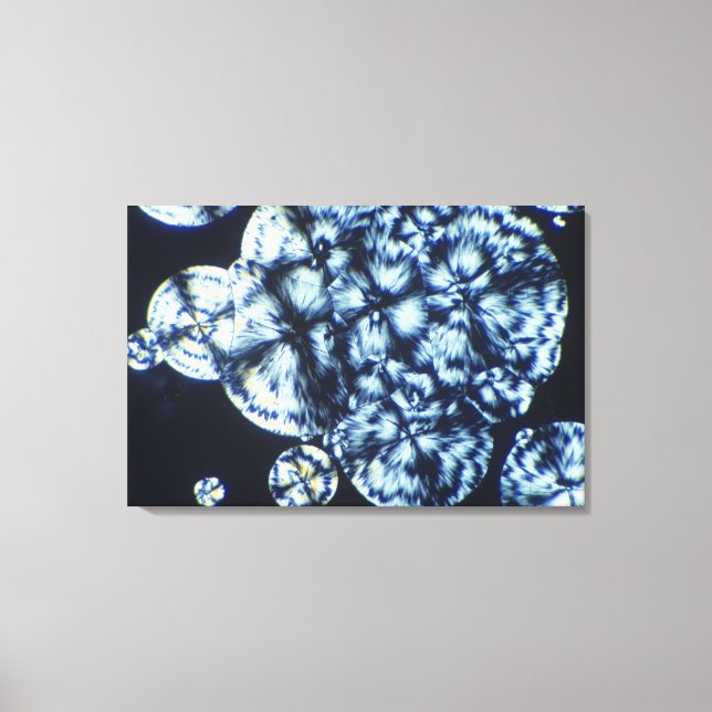Cholesterol Crystals Viewed in Polarized Light Canvas Print (Front)