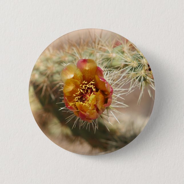 Cholla Cactus Bloom 2 Inch Round Button (Front)
