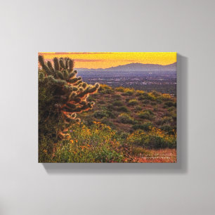 Cholla Cactus Desert Flowers Arizona Sunset 8 x 10 Canvas Print