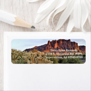 Cholla Cactus Et Superstition Mountain / Arizona
