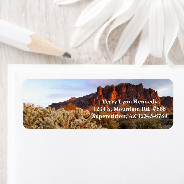 Cholla Cactus Superstition Montagne Arizona (En situation)