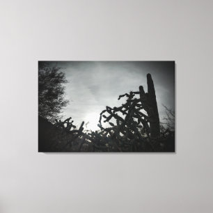 Cholla Sunset Canvas Print