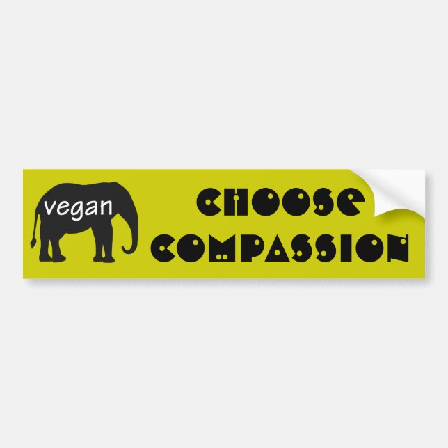 Choose Compassion Bumper Sticker (Front)