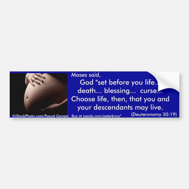 Choose Life Bumper Sticker (Front)