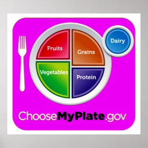 Choose My Plate (Pink) Poster - in many sizes