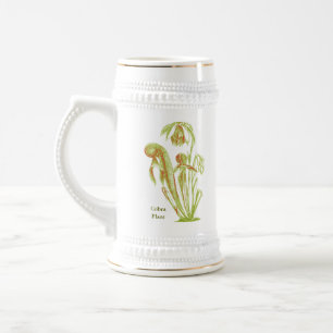 Chope À Bière Californica de Darlingtonia, plante carnivore