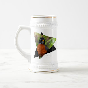 Chope À Bière Curieux oiseau-chanteur américain Robin dans l'her
