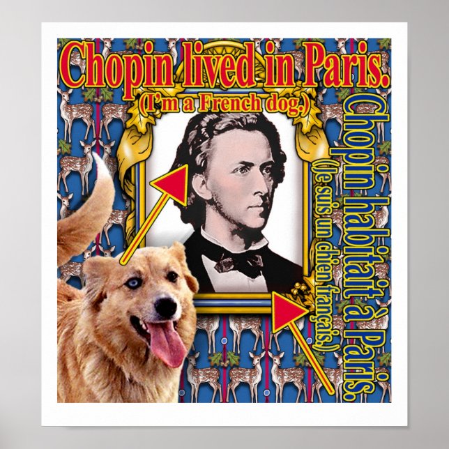 Chopin lived in Paris. Poster (Front)