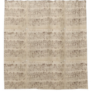 Chopin Music Notes Shower Curtain