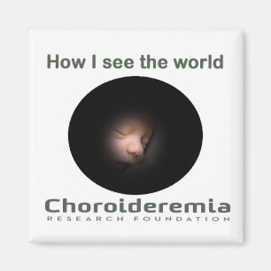Choroideremia comment je vois le monde - aimant