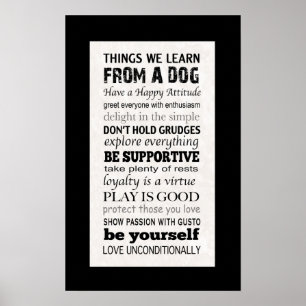 Choses que nous apprenons d'une affiche de chien