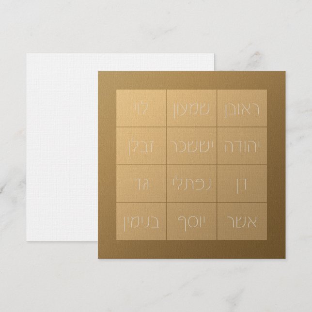 Choshen Mishpat the Biblical Priestly Breastplate (Front/Back)