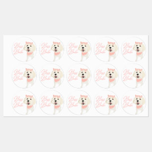 Chou Boss Babe Étiquettes