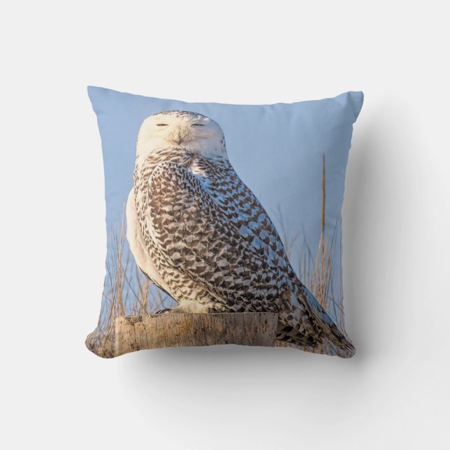 Chouette à neige - coussin (Recto)