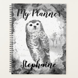 Chouette aquarelle