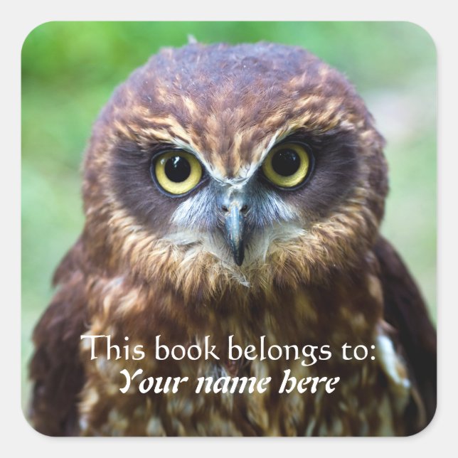 Chouette "Ce livre appartient à" Sticker (Devant)
