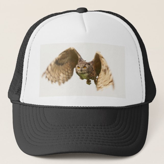 Chouette dans le Casquette de vol (Devant)