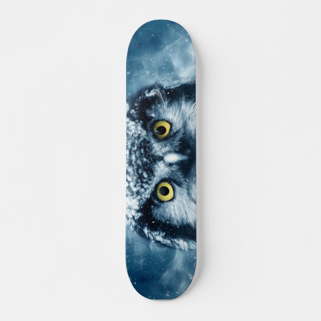 Chouette dans le skateboard de neige (Devant)