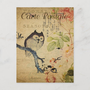 Chouette de style vintage en succursale Carte post