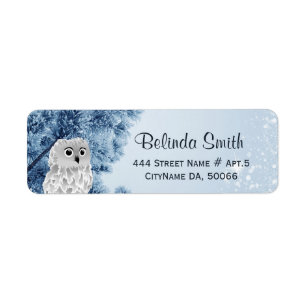 Chouette d'hiver mignonne Bleu blanc